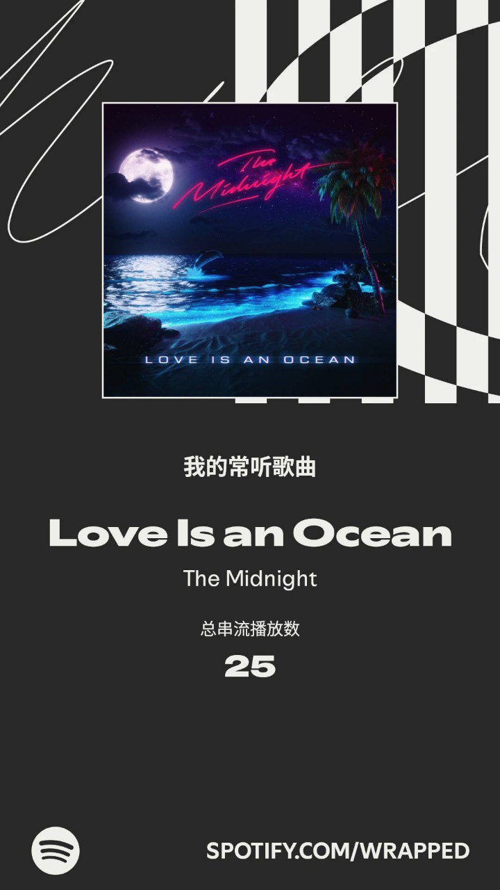 Spotify 年度总结截图 4