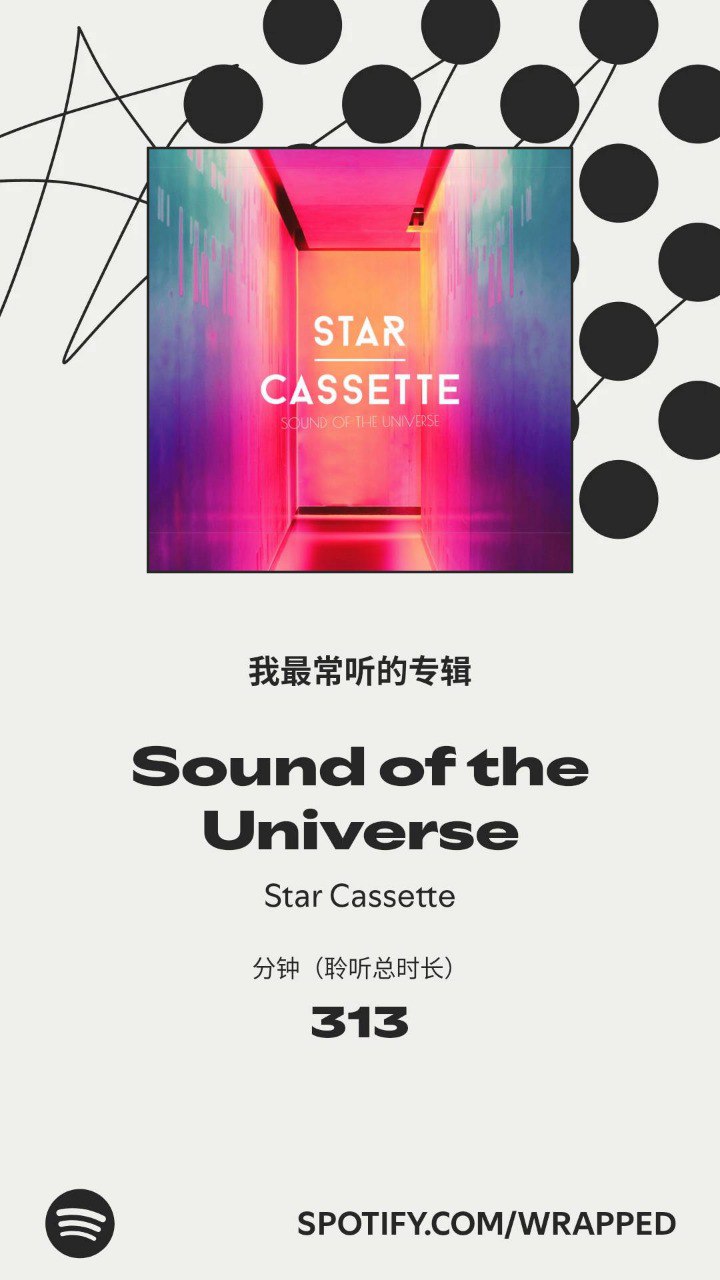 Spotify 年度总结截图 6