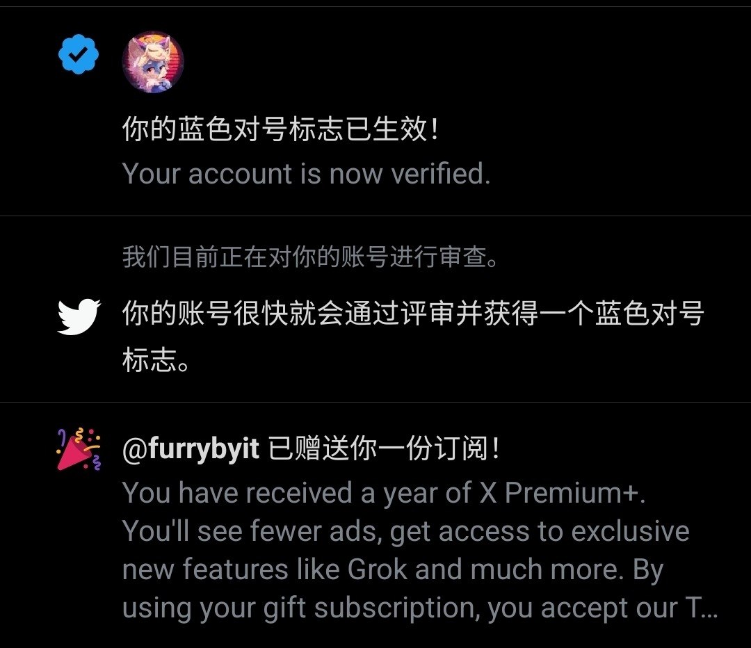 网络安全速递：Twitter / X 支付网关严重漏洞与欧洲 SEPA 延迟结算套利分析